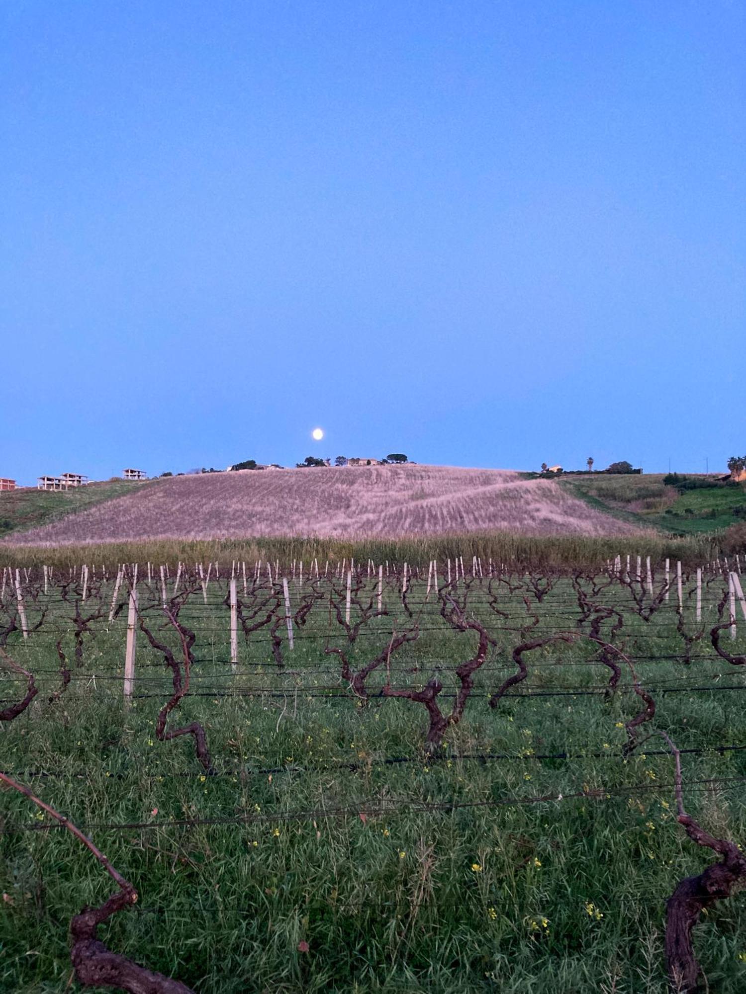 Fattoria Manostalla Villa Chiarelli Balestrate Exterior photo