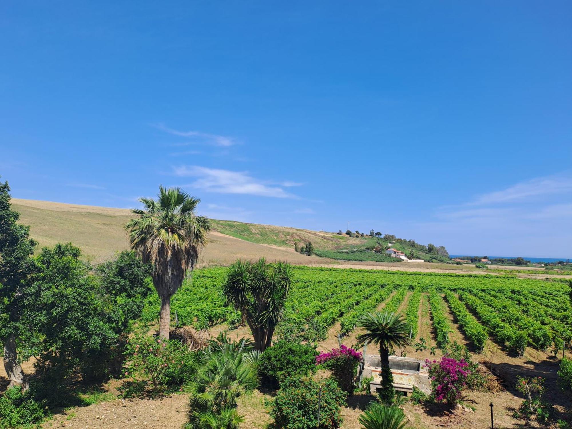 Fattoria Manostalla Villa Chiarelli Balestrate Exterior photo
